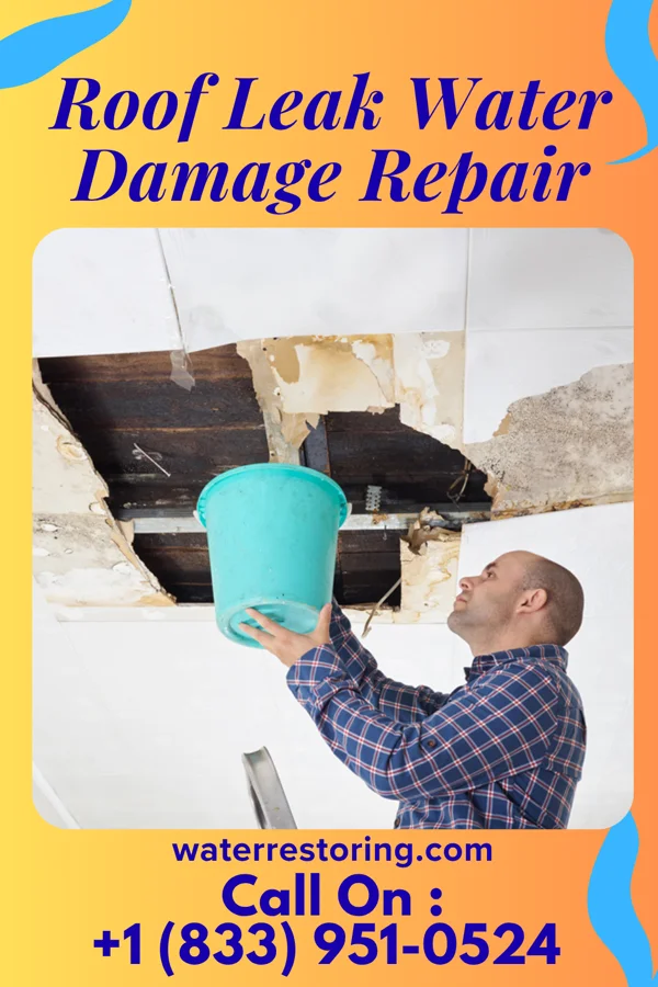 Roof Leak Water Damage Repair in El Capitan, AZ
